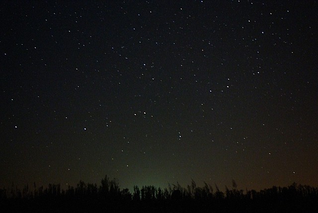 stardust