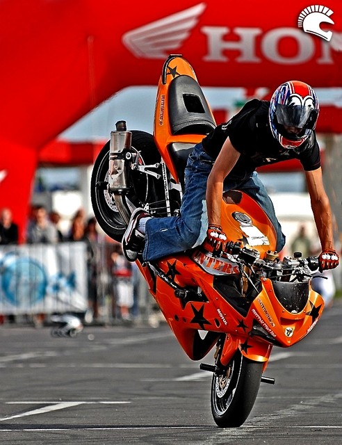 stunt gp .
