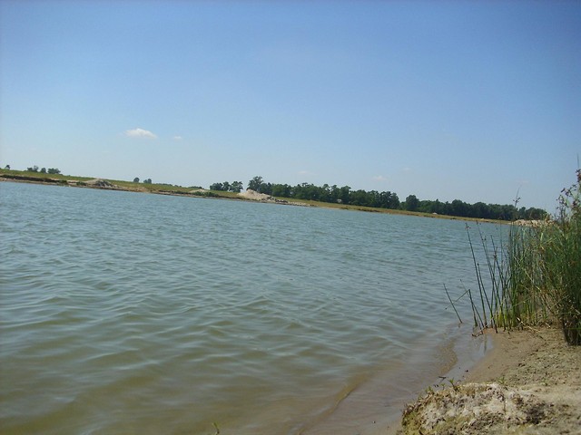 Wpis ludzkaxglupota