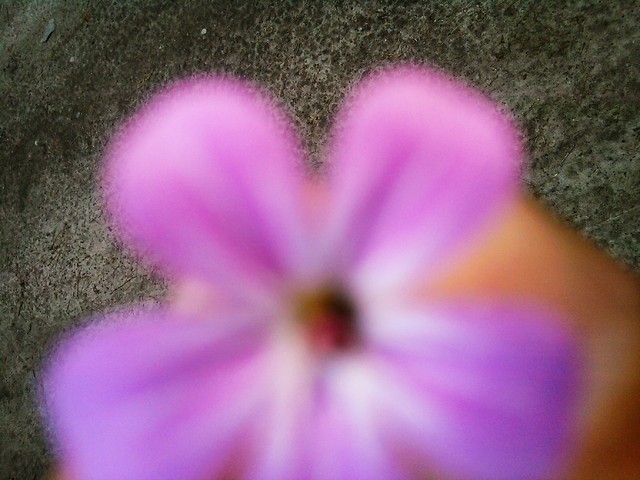 FioletoOoOowo... 
