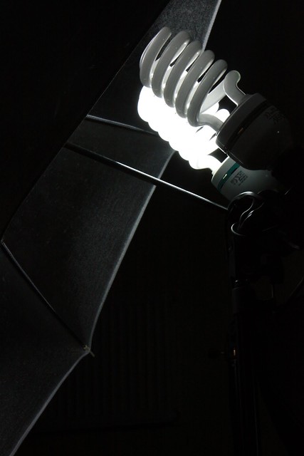 light.