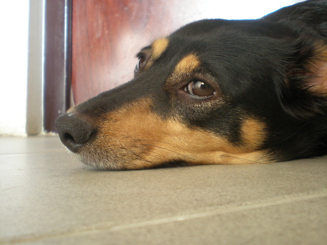 Wpis aguszax3