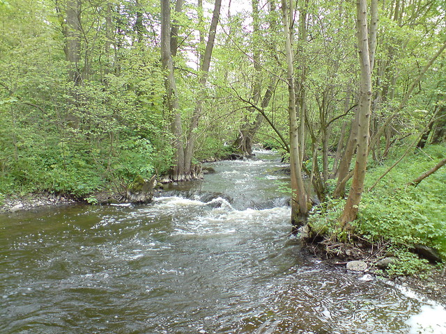 Bierzgo