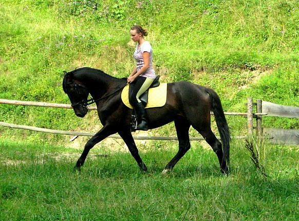 Pan Tadeusz
