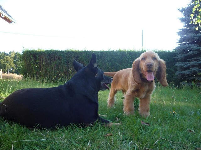 Czarek & Alan