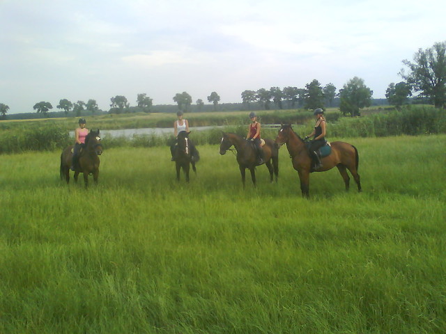 GutOw 2010 :)