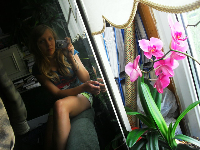 flower . orchidea . 
