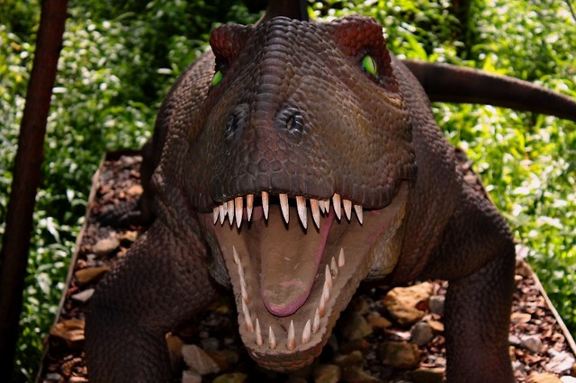 45. DinoZatorLand