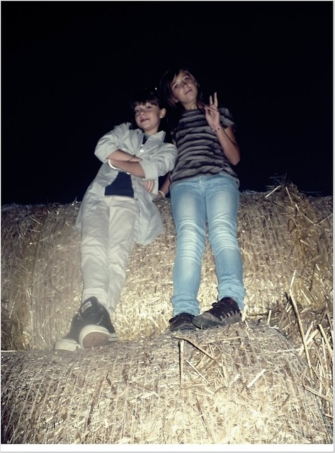 z   gosi ; ]]