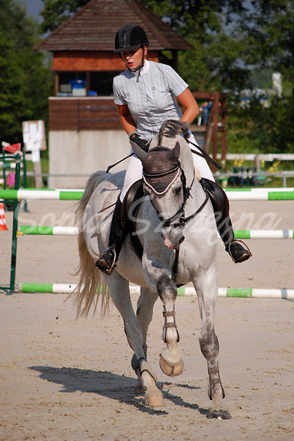 Wpis grasso20