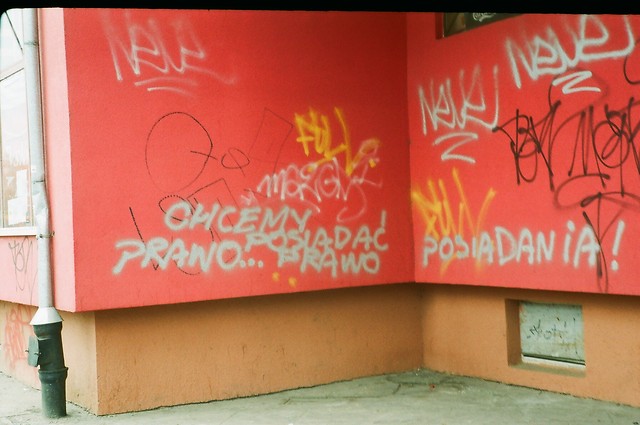 [eksperyment zorka]
