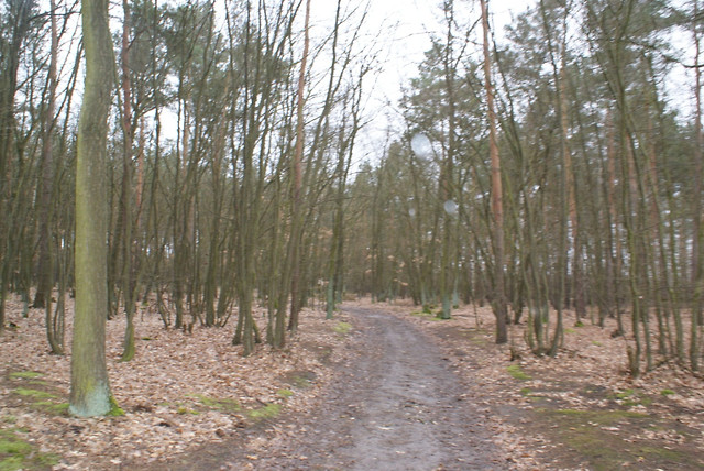 czwarta.