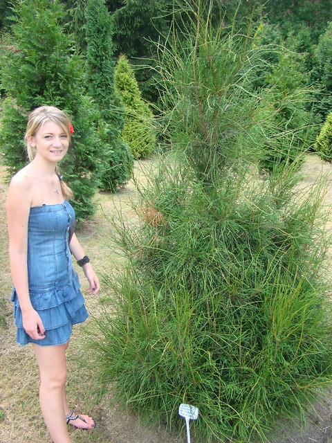 Arboretum.