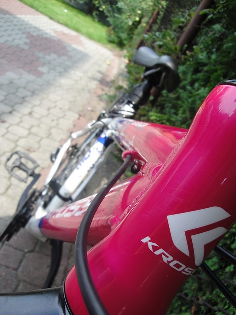 \m/ . just ride & have fun . \m/