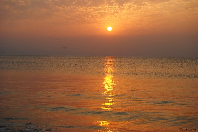 Wpis donataphotography