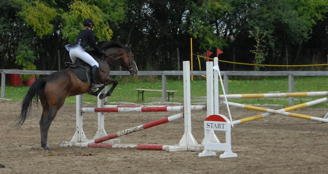 Sipsi Fawn   5B
