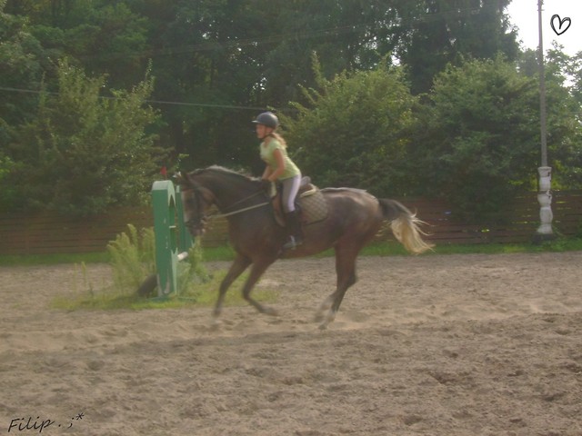 Dakar . ; *