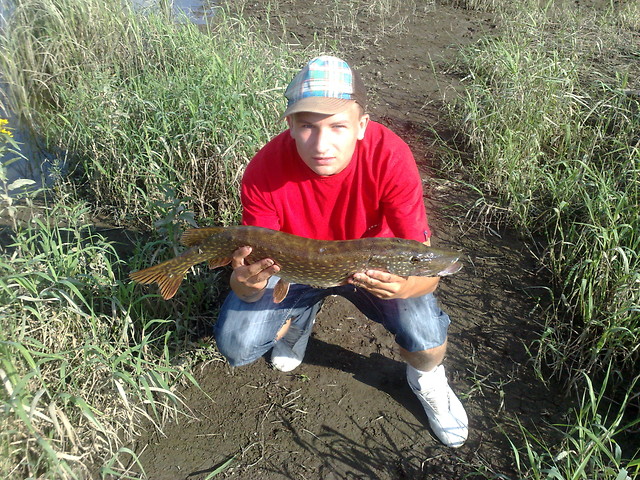Wpis paulo11