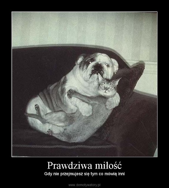 Haha^^