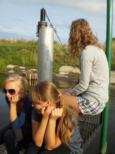 Wpis nooeemii