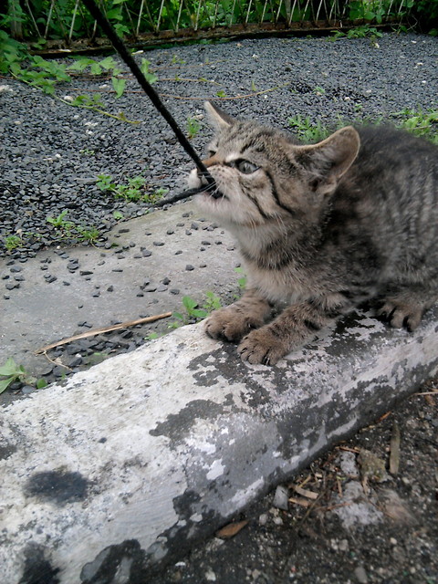 Nie oddam!! 