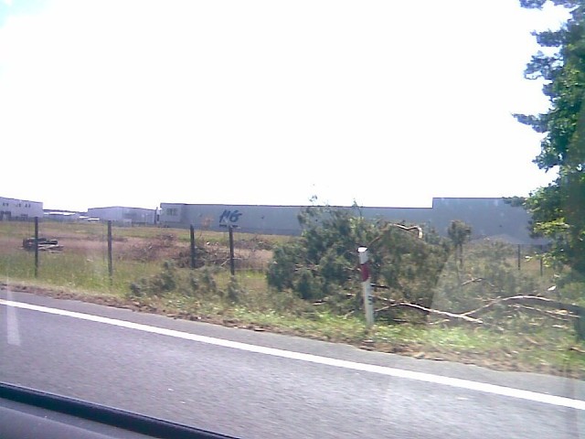 Wpis niuska88
