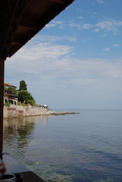 Wpis zonaginekologa