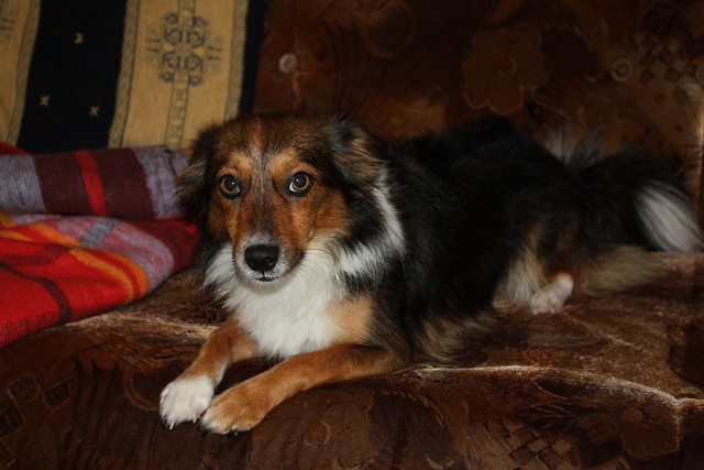 Empatia