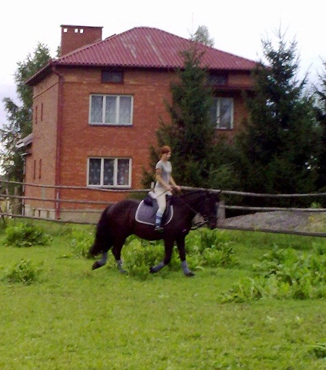 8. Kus