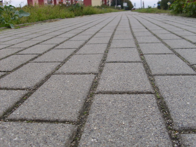 19 sierpnia.