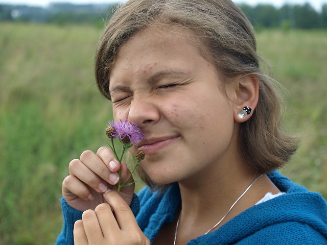 Wpis pomaranczowo
