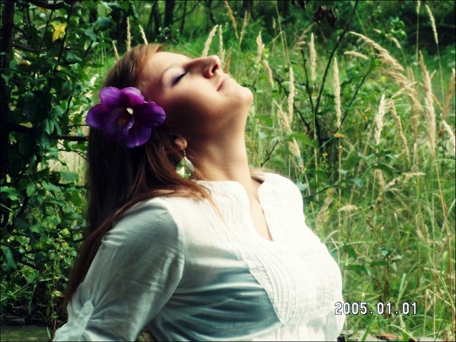 Wpis camiss