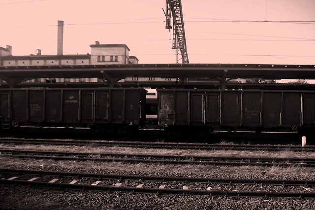 Wpis ewcia0022