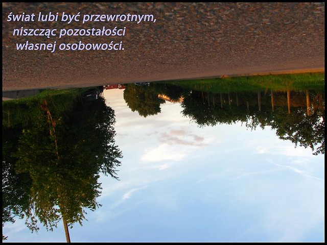 Wpis swusia