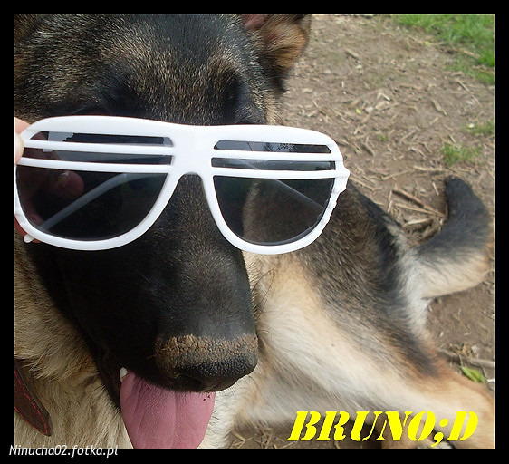 Bruno:*