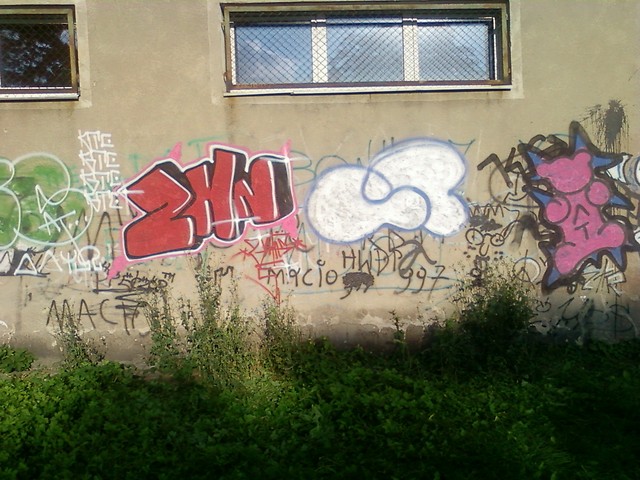 Owocujcy LetNi sPacer:D