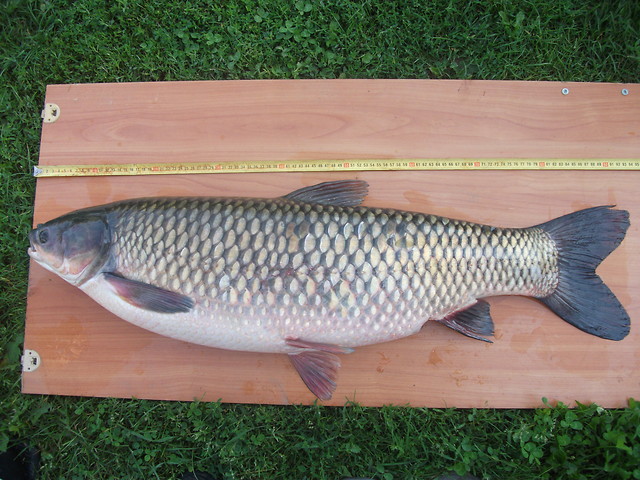 tylko 14 kg i 94 cm ;d
