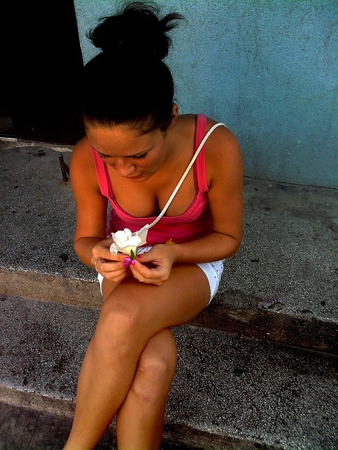 Wpis zllossniicaa