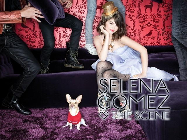 Wpis kcxselenax