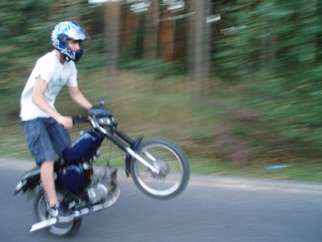 Stunt suczka ;D