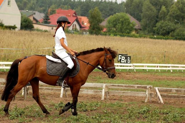 Wpis dzemik7