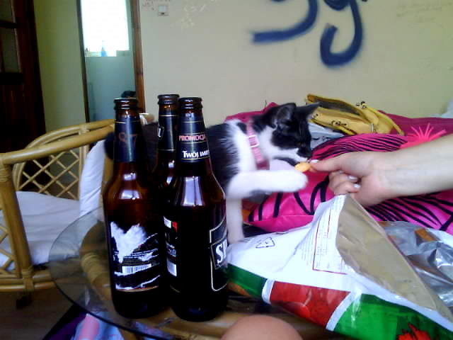 Wpis seroos
