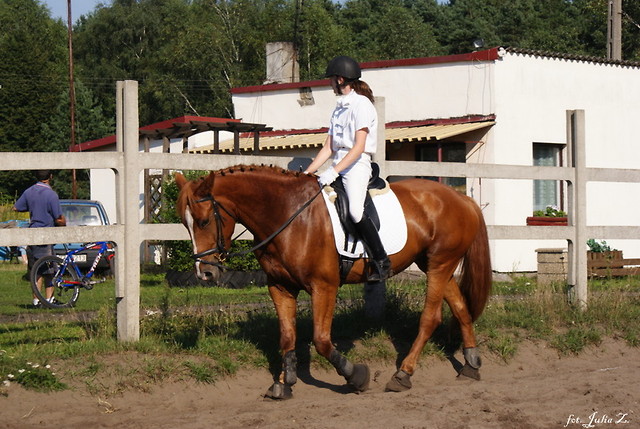 25.08.2010