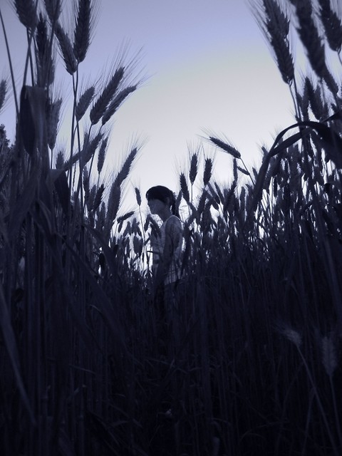 ytko