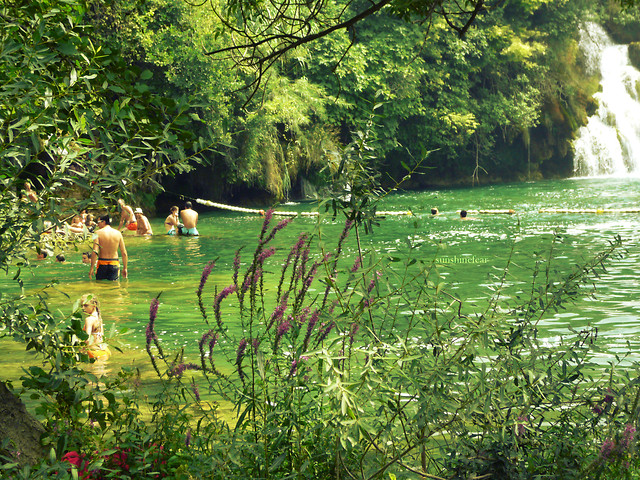 paradise