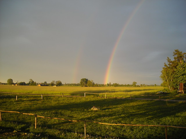 2010/01/13