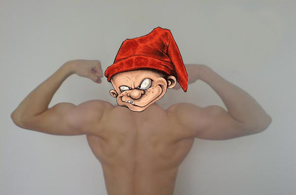 Wpis bodybuilder