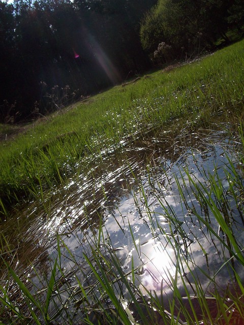 Wiosna...