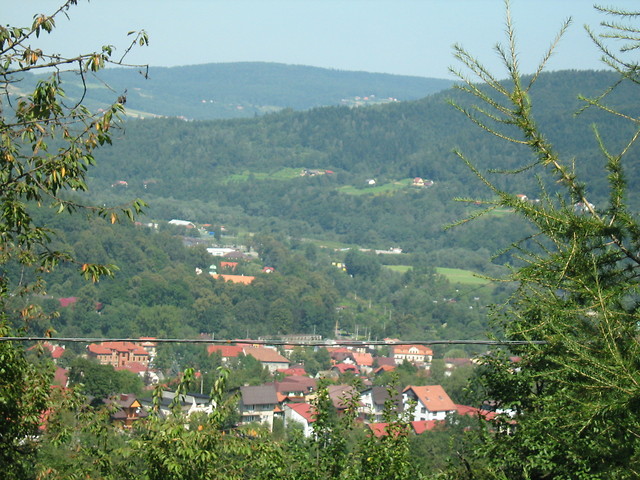 Widoczek