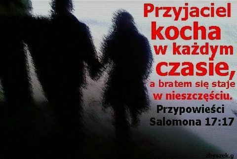 przyjacielu mam zbyt wielu .....